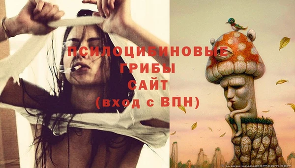 Альфа ПВП Армянск