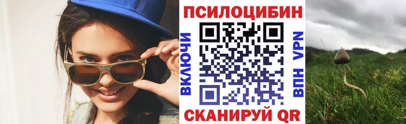 Галлюциногенные грибы Cubensis  Купить  Углич 
